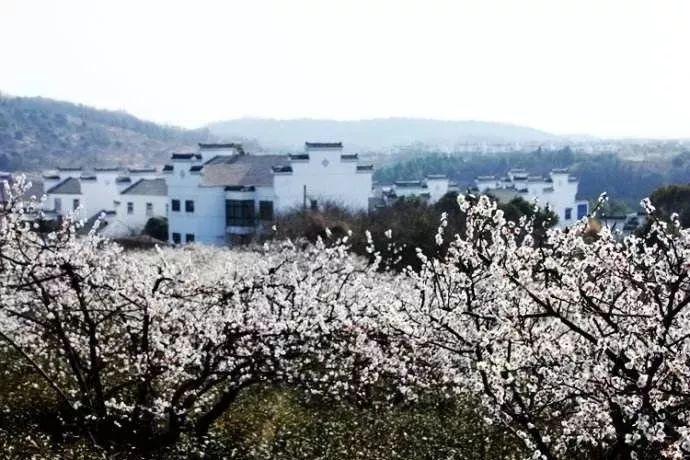 《仙剑奇侠传4》韩菱纱的寒冰命脉，望舒剑的宿命之选
