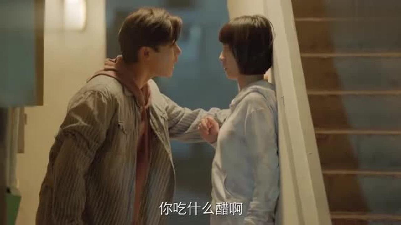 梁平区养犬管理区域划分!看看你家在哪个区域